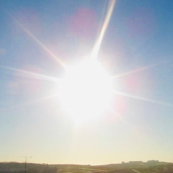sun dance